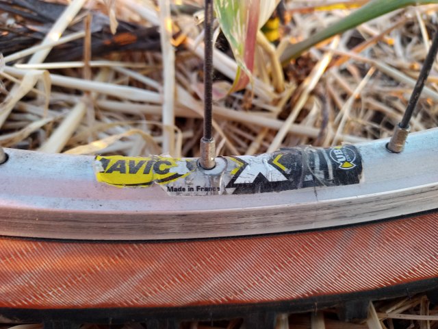 Mongoose NX 8.3 '99 #196