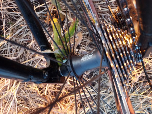 Mongoose NX 8.3 '99 #198