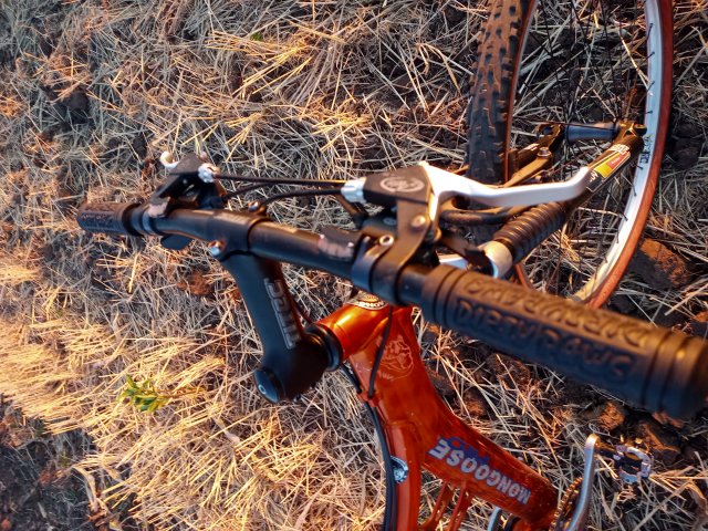 Mongoose NX 8.3 '99 #199