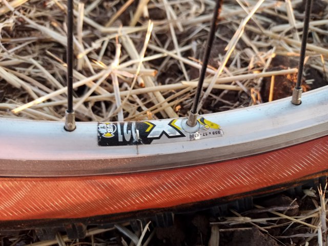 Mongoose NX 8.3 '99 #200