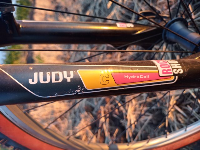 Mongoose NX 8.3 '99 #202