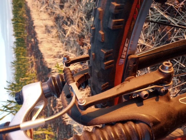 Mongoose NX 8.3 '99 #203