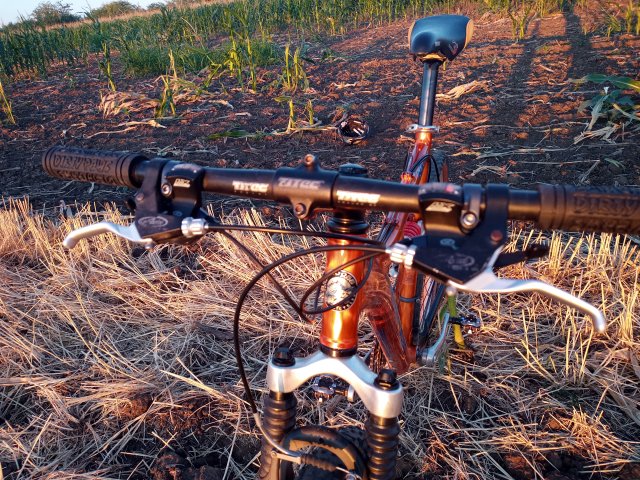 Mongoose NX 8.3 '99 #206