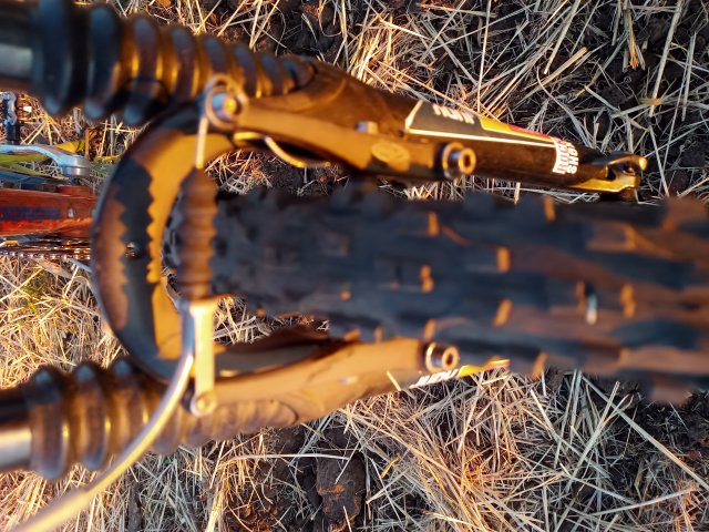 Mongoose NX 8.3 '99 #207