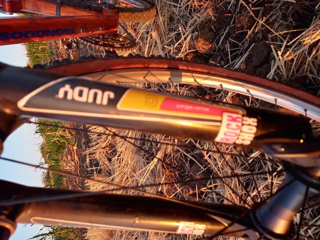 Mongoose NX 8.3 '99 #208