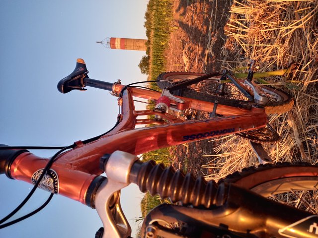 Mongoose NX 8.3 '99 #209