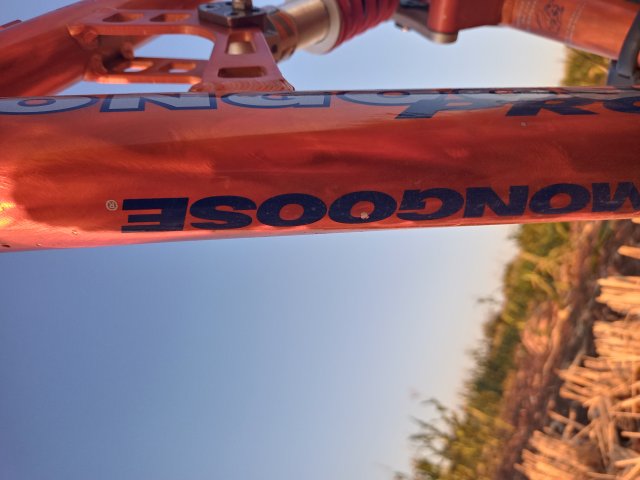 Mongoose NX 8.3 '99 #210