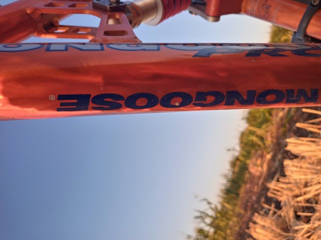 Mongoose NX 8.3 '99 #211