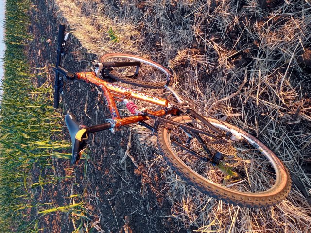 Mongoose NX 8.3 '99 #217