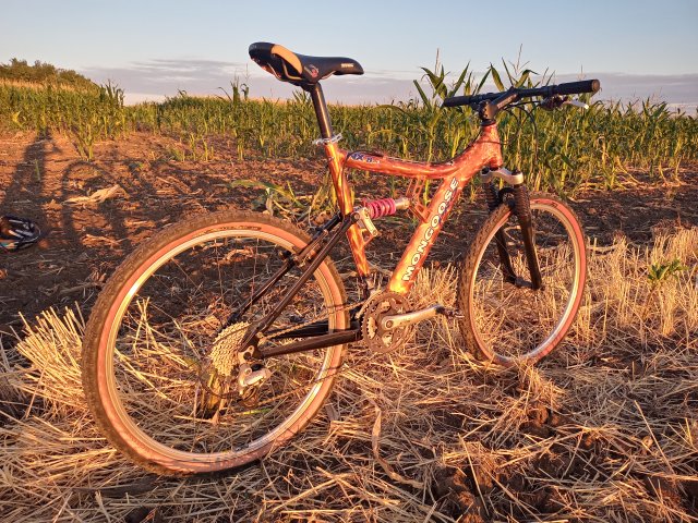 Mongoose NX 8.3 '99 #218