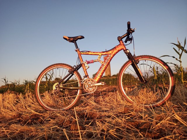 Mongoose NX 8.3 '99 #219