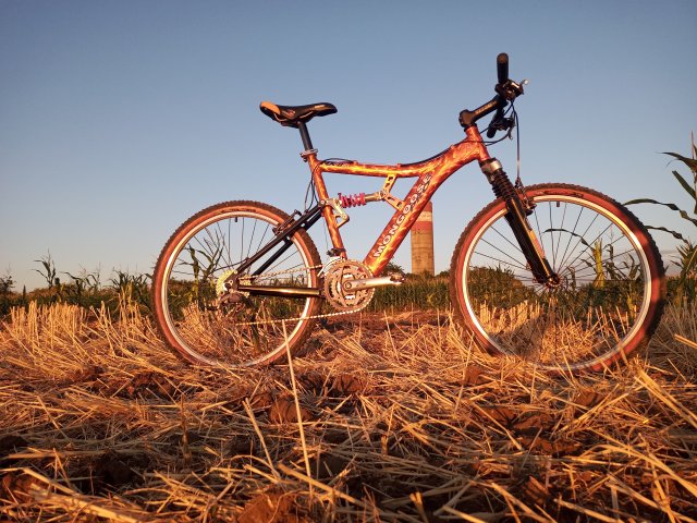 Mongoose NX 8.3 '99 #220