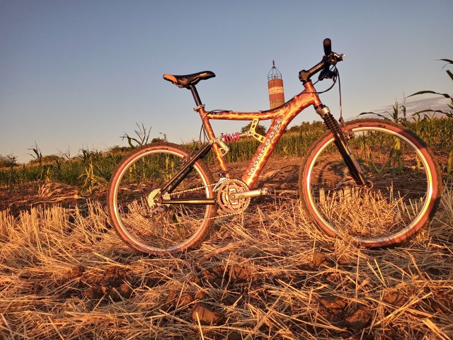 Mongoose NX 8.3 '99 #221