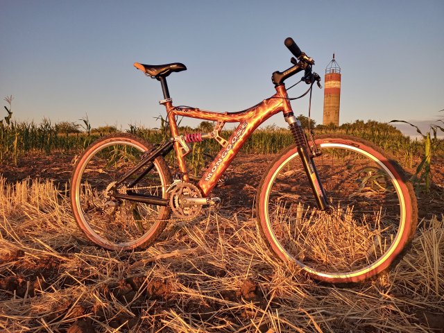 Mongoose NX 8.3 '99 #222