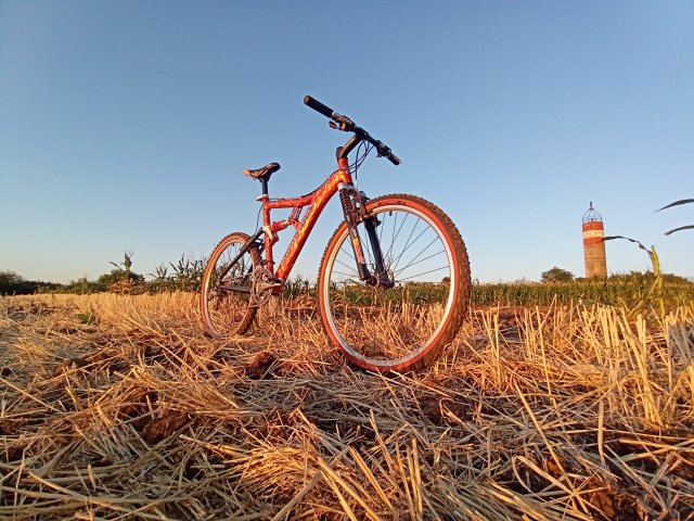 Mongoose NX 8.3 '99 #224