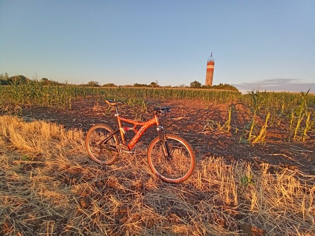 Mongoose NX 8.3 '99 #225