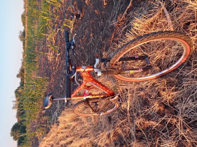 Mongoose NX 8.3 '99 #226