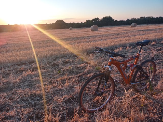 Mongoose NX 8.3 '99 #227