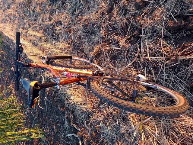 Mongoose NX 8.3 '99 #228