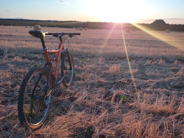 Mongoose NX 8.3 '99 #229