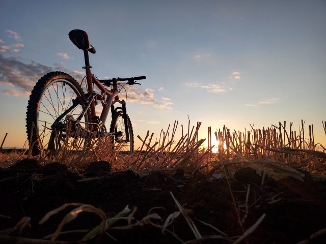 Mongoose NX 8.3 '99 #230