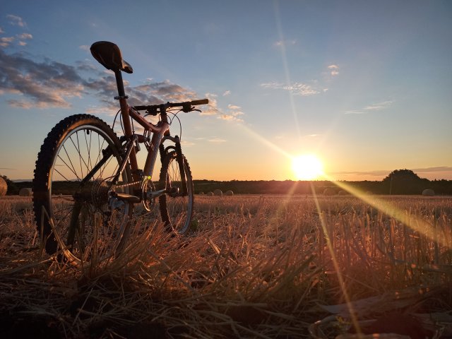 Mongoose NX 8.3 '99 #231