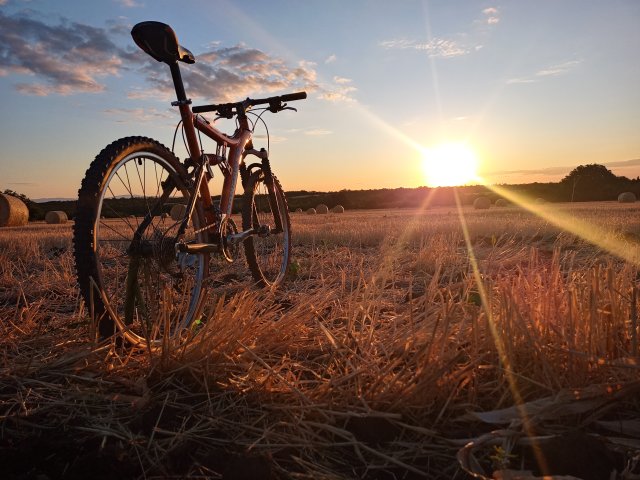 Mongoose NX 8.3 '99 #232