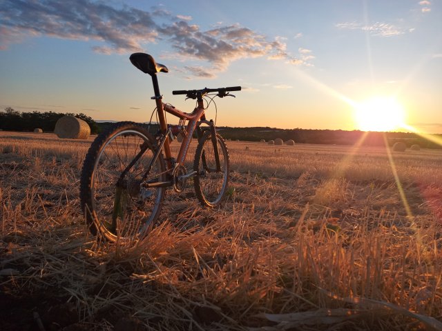 Mongoose NX 8.3 '99 #233