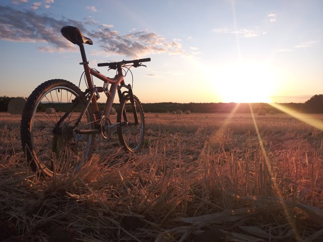 Mongoose NX 8.3 '99 #234