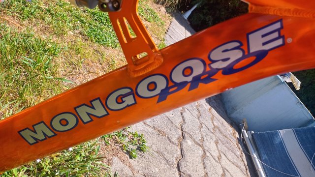 Mongoose NX 8.3 '99 #24