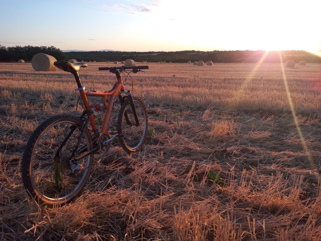 Mongoose NX 8.3 '99 #235