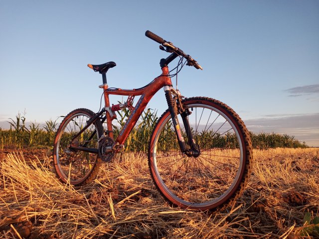 Mongoose NX 8.3 '99 #236