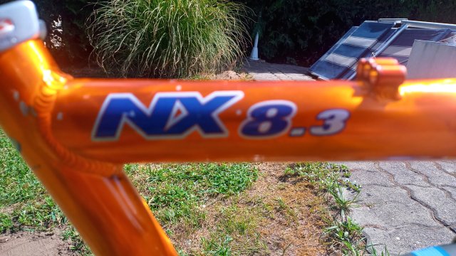 Mongoose NX 8.3 '99 #25
