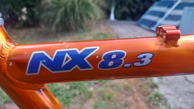 Mongoose NX 8.3 '99 #26