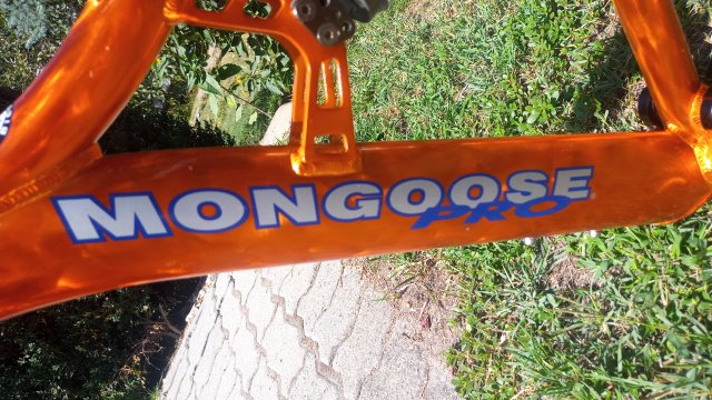 Mongoose NX 8.3 '99 #28