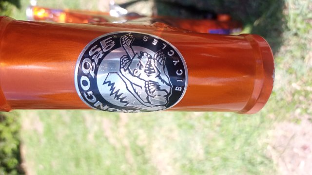 Mongoose NX 8.3 '99 #33