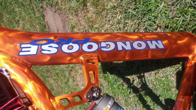 Mongoose NX 8.3 '99 #38