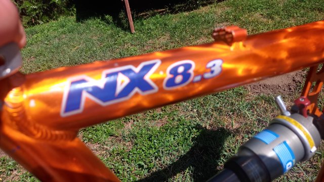 Mongoose NX 8.3 '99 #39