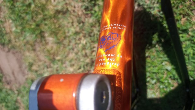 Mongoose NX 8.3 '99 #42