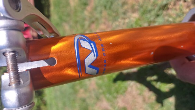 Mongoose NX 8.3 '99 #43