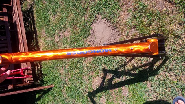 Mongoose NX 8.3 '99 #44