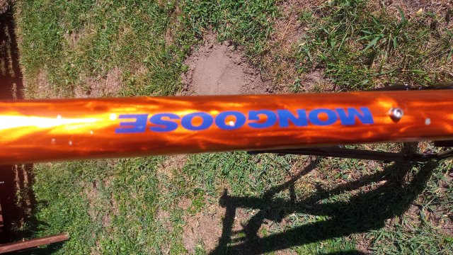 Mongoose NX 8.3 '99 #45