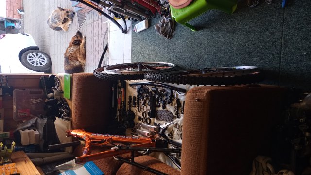 Mongoose NX 8.3 '99 #51