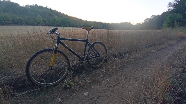 Klein Pulse Comp RS '96 #225
