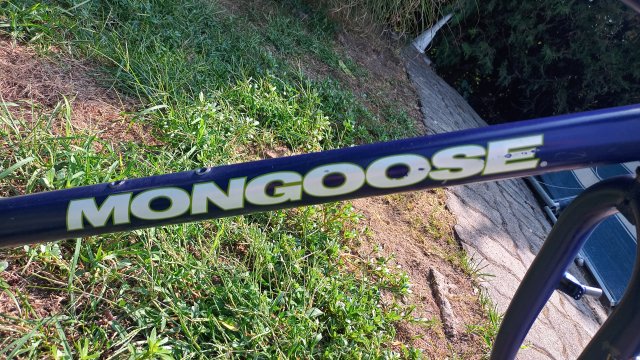 Mongoose I.B.O.C. Comp '94 #24