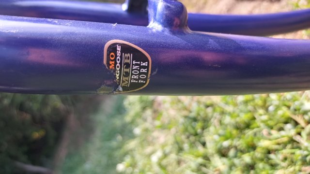 Mongoose I.B.O.C. Comp '94 #30