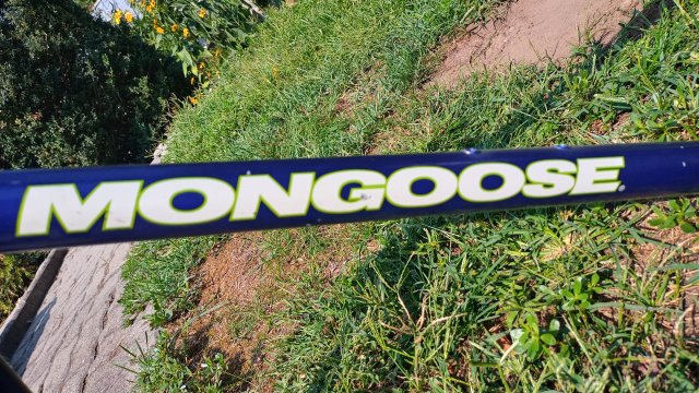 Mongoose I.B.O.C. Comp '94 #32