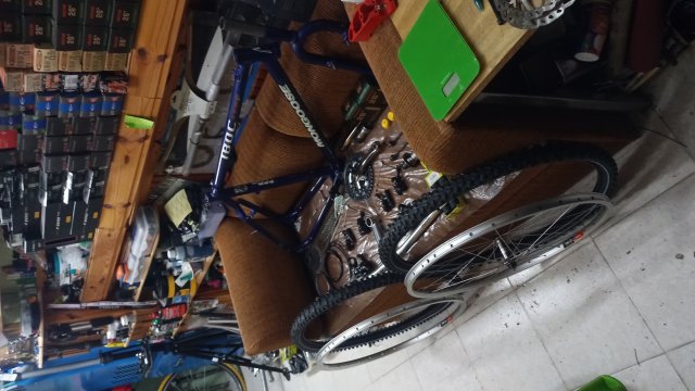 Mongoose I.B.O.C. Comp '94 #77