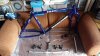 Mongoose I.B.O.C. Comp '94 #41