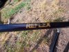 Reflex CDT '91 #37
